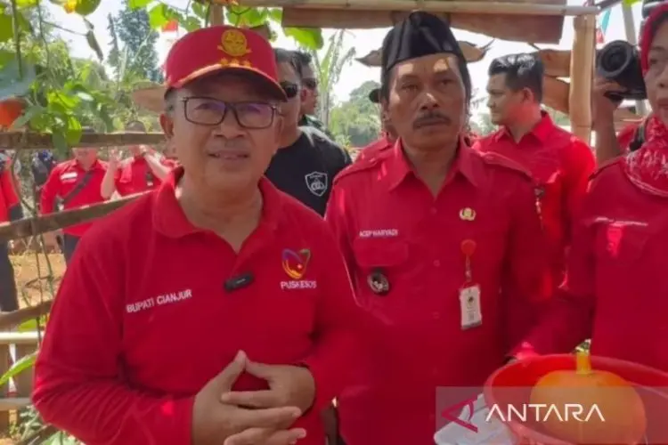 Pemkab Cianjur Buka Peluang Investasi