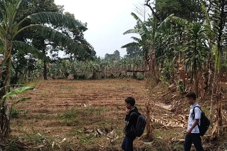 Akibat Kekeringan, Komoditas Padi di KBB Kian Menipis