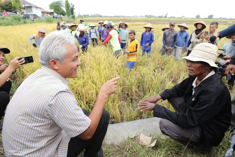 Ganjar Optimistis Petani dan Nelayan Sejahtera dari Sawah dan Laut