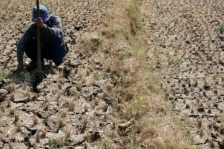 BMKG Prediksi Puncak Musim Kemarau 2025 Terjadi pada Juni–Agustus