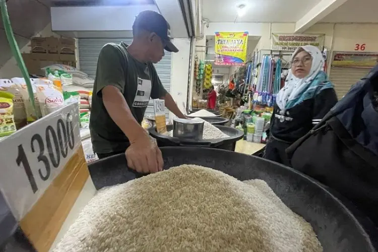 Jangan Salah Pilih! Ini Jenis-Jenis Beras dan Cara Memasaknya yang Benar