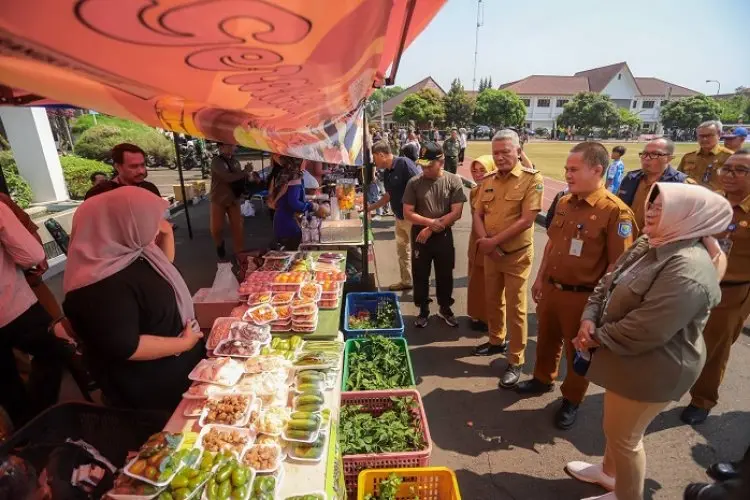 Gerakan Pangan Murah, Stabilisasi Pasokan dan Harga Murah