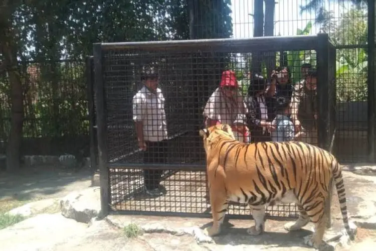 HUT ke-3, Lembang Park and Zoo Berbagi Kebahagiaan dengan Ratusan Anak Yatim