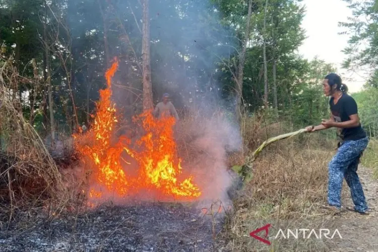 Damkar Cianjur Catat Sepanjang Oktober Terjadi 40 Kasus Kebakaran