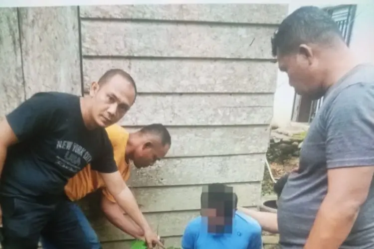 Tanam Ganja di Polibag, Pria Ini Coba Kelabui Polisi dengan Cara Ini