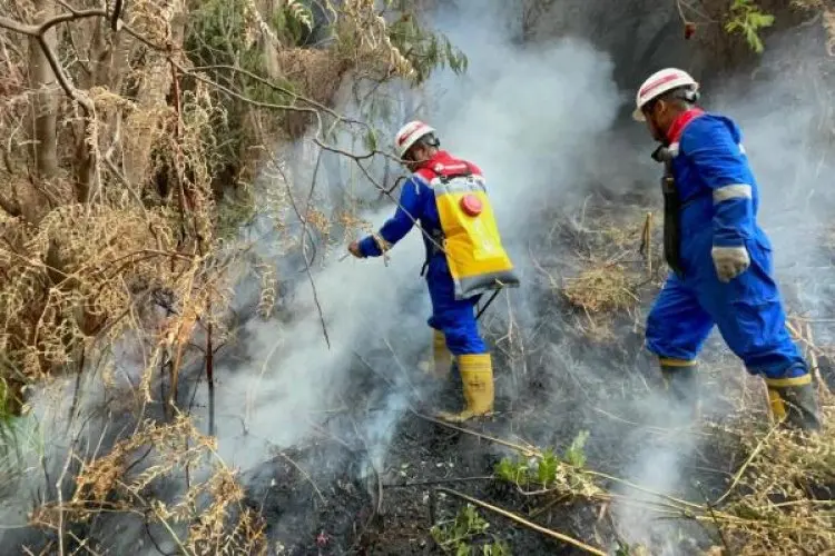 PGE Area Kamojang Aktif Padamkan Kebakaran di Gunung Papandayan