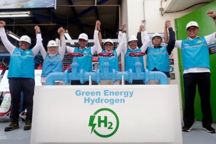 Resmikan Plant Pertama di Indonesia, Kementerian ESDM: PLN Miliki Cara Paling Cepat Hasilkan Green Hydrogen