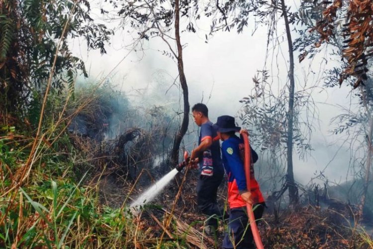 Duh BMKG Deteksi 111 Titik Panas di Kalimantan Timur