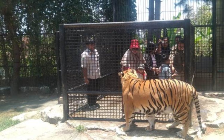 HUT ke-3, Lembang Park and Zoo Berbagi Kebahagiaan dengan Ratusan Anak Yatim
