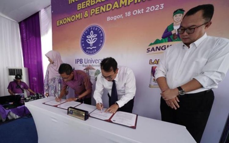 Lapis Bogor Sangkuriang dan IPB University Berdayakan Petani Talas, Bentuk Ekosistem Bisnis Desa