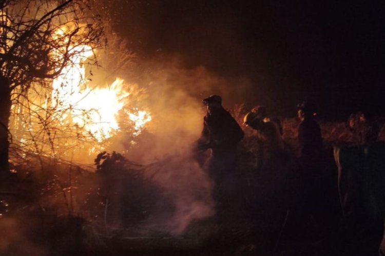 Kebakaran Hutan di Gunung Papandayan, Puluhan Petugas Diterjunkan