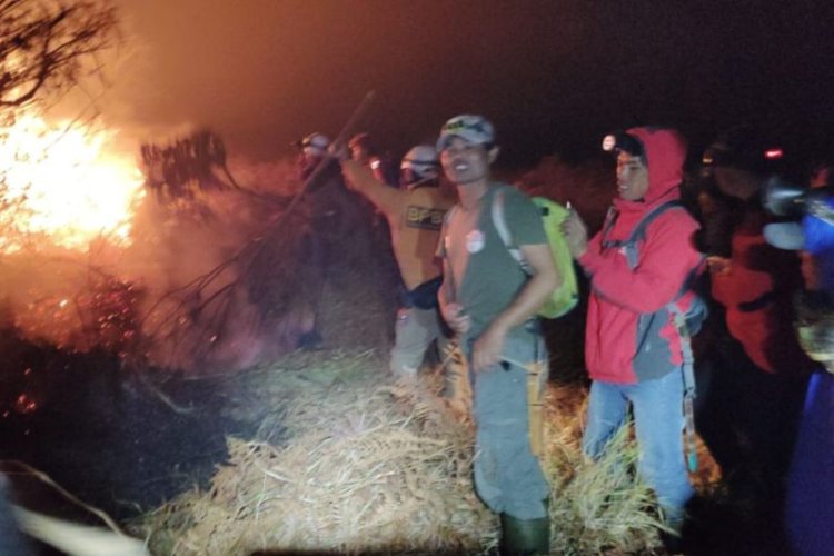 Polisi Selidiki Kebakaran di Hutan Kawasan Konservasi Gunung Papandayan Garut