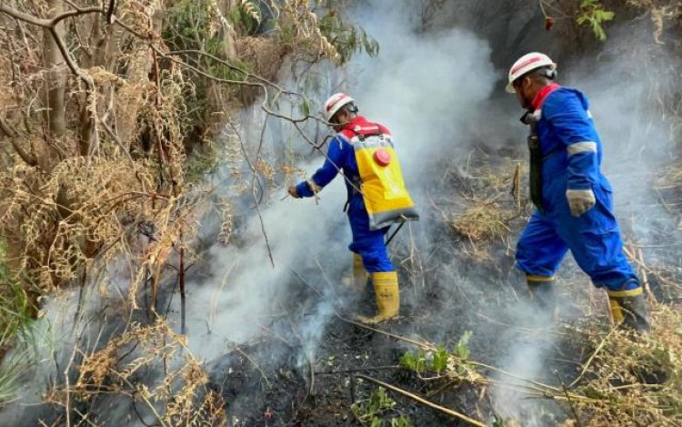 PGE Area Kamojang Aktif Padamkan Kebakaran di Gunung Papandayan