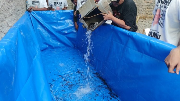 GMP Berdayakan Warga Lewat Pelatihan Budi Daya Ikan Lele dan Hias