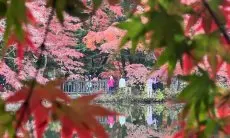 Karuizawa, Pesona Musim Gugur di Prefektur Nagano