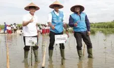 Tegakkan Prinsip Operasional yang Berkelanjutan, PLN Restorasi 308 Hektare Lahan Tandus Jadi Paru-paru Baru