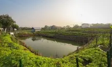 Minimalisir Potensi Banjir di Kelurahan Derwati, Pemkot Bandung Hadirkan Kolam Retensi ke-11