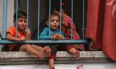 WHO: Sekitar 160 Anak Terbunuh di Gaza Setiap Hari