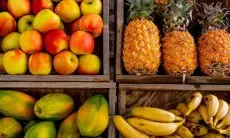 Pakar Gizi Ingatkan Wanita Hamil Sering Konsumsi Buah-buahan