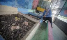 TPS Overload dan Sampah di Pinggir Jalan Masih Menjadi Prioritas