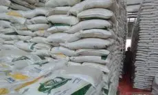 Tutupi Kekurangan di 2023, DPTH Jabar Genjot Produksi Beras Tahun Depan