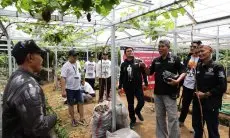Ganjartivity Gelar Diskusi Bersama Petani hingga Warga di Sukabumi Soal Budi Daya Anggur