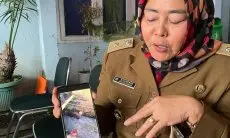 Dikejar Pemburu, Kawanan Babi Hutan Turun Gunung dan Obrak-abrik Warung Warga di Desa Jayamekar