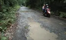 Dedie Ngebet Hutan Cifor Dijadikan Kebun Raya Bogor 2
