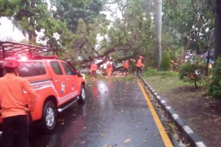 Akhir Pekan Mencekam, Dalam Sehari BPBD Kota Bogor Terima Laporan 24 Titik Bencana