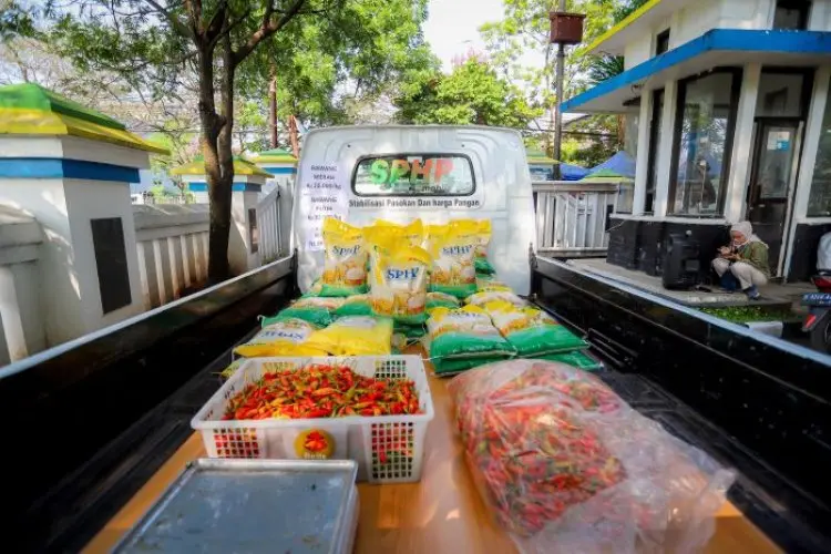 Cegah Dampak Kenaikan Harga Cabai Rawit, Buruan Sae Bisa Menjadi Solusi