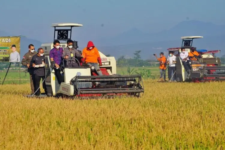 Dekan IPB: KUR Pertanian Penting dalam Mendukung Permodalan Petani