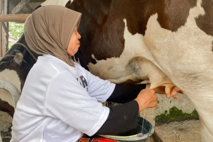 Ganjar Muda Padjajaran Genjot Peran Aktif Warga Untuk Manfaatkan Potensi Hasil Peternakan