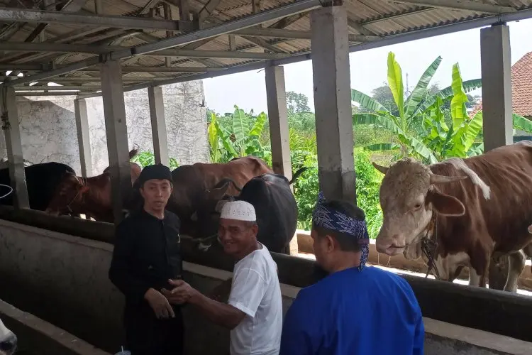 Kota Bogor Terima 40 Ekor Sapi Potong Buat Kelompok Tani