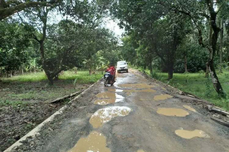 Duh Baru Direvitalisasi Pemprov Jabar, Jalan Geopark Ciletuh Sukabumi Rusak Lagi