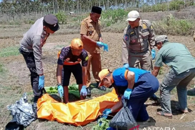 Petugas Gabungan Sukabumi Evakuasi Jasad OTK di Tengah Sawah