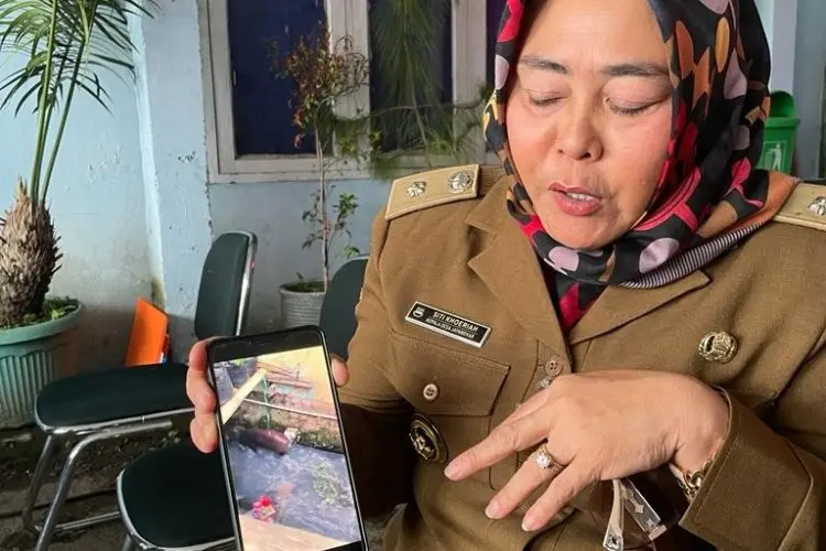 Dikejar Pemburu, Kawanan Babi Hutan Turun Gunung dan Obrak-abrik Warung Warga di Desa Jayamekar