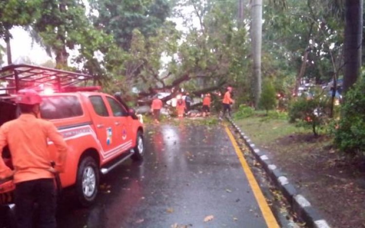 Akhir Pekan Mencekam, Dalam Sehari BPBD Kota Bogor Terima Laporan 24 Titik Bencana
