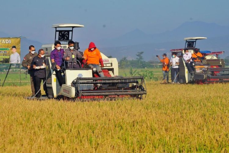 Dekan IPB: KUR Pertanian Penting dalam Mendukung Permodalan Petani
