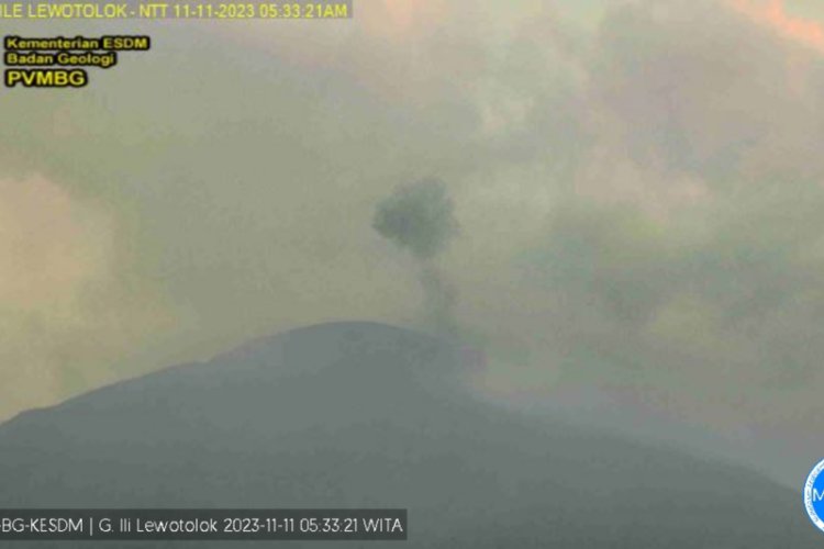 PVMBG Rekam Dua Erupsi Terjadi di Gunung Ili Lewotolok