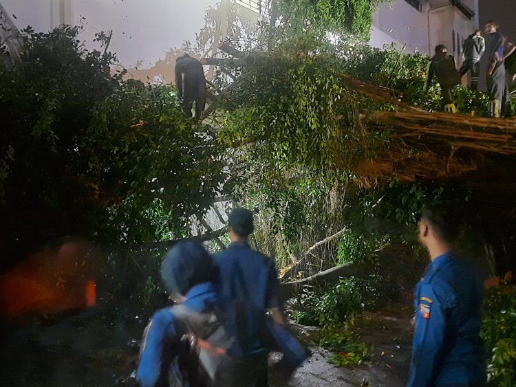 Dua Hari, 21 Bencana Alam Terjadi di Kota Bogor dari Banjir Hingga Pohon Tumbang
