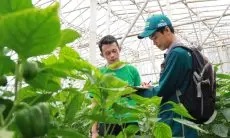BPS Jabar: Hasil ST2023 Tunjukkan Rumah Tangga Usaha Pertanian di Jabar Tumbuh 6,25 Persen