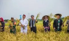 Bima Titip Lahan Pertanian Mulyaharja Dijaga, Jangan Sampai Dikuasai Pengembang Perumahan