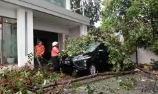 Hujan Deras dan Angin Kencang, Dua Mobil Tertimpa Pohon
