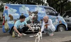 Unik! Kampanye Melly goeslaw Bareng Sobat Biru Langit. Hadirkan Mobil Branding Hingga Program untuk Rescue Kucing