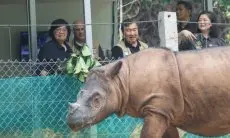 Lindungi Ekosistem dan Populasi Badak Sumatera, USAID Apresiasi Komitmen KLHK dan YABI 