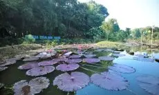 Talaga Citalaga, Pemkot Bandung Hadirkan Ruang Publik Baru di Kawasan Bandung Utara 