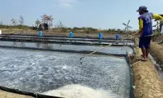 Miliki Kualitas Garam Sangat Bagus, DKP Dorong Petambak Punya Koperasi