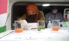 Duh, Disperindag Jabar Temukan Formalin Teri Medan dan Mie