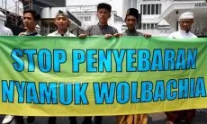 FOTO: Aksi Tolak Penyebaran Nyamuk Wolbachia