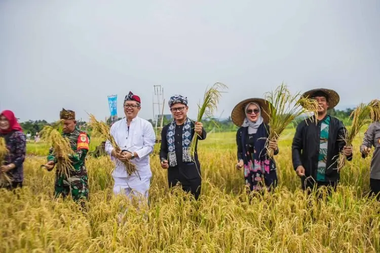 Bima Titip Lahan Pertanian Mulyaharja Dijaga, Jangan Sampai Dikuasai Pengembang Perumahan